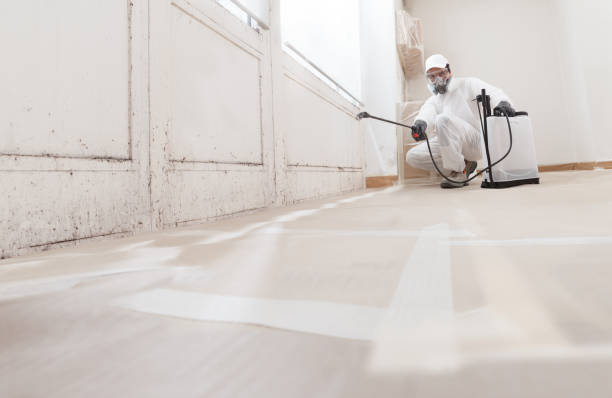 24/7 Emergency Commercial Mold Remediation experts in Concord, NC
